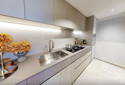Union Square Residences (D1), Condominium #498541551